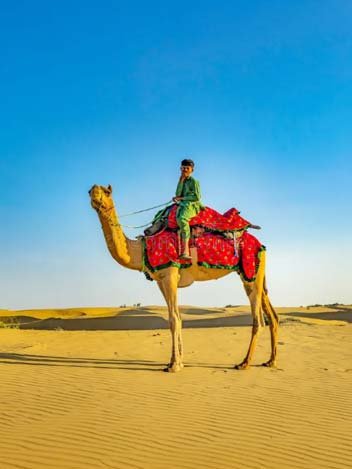 Colourful havelis and camel safari in Jaisalmer